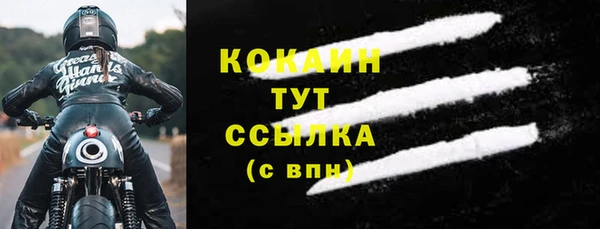ПСИЛОЦИБИНОВЫЕ ГРИБЫ Аркадак