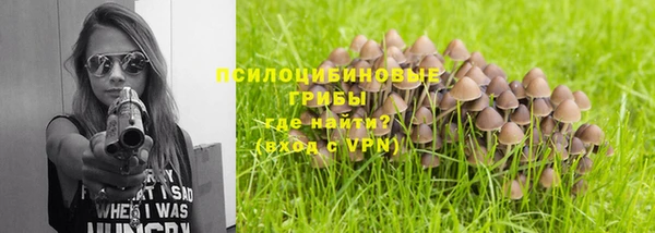 ПСИЛОЦИБИНОВЫЕ ГРИБЫ Аркадак